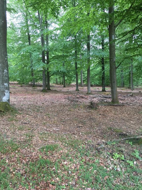 Sölvesborg Lusthuset 빌라 외부 사진